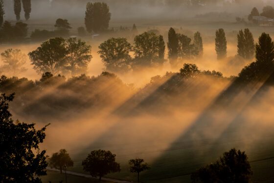 44. Il sole dell’alba dissipa la nebbia