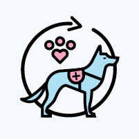 Pet Therapy_c